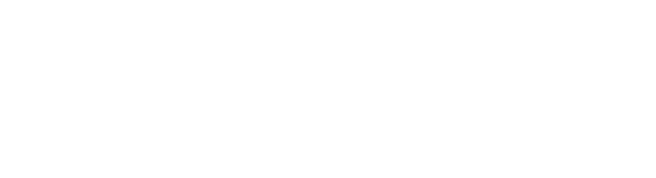 API ART & Asian Pacific Islander Arts Network in whtie font